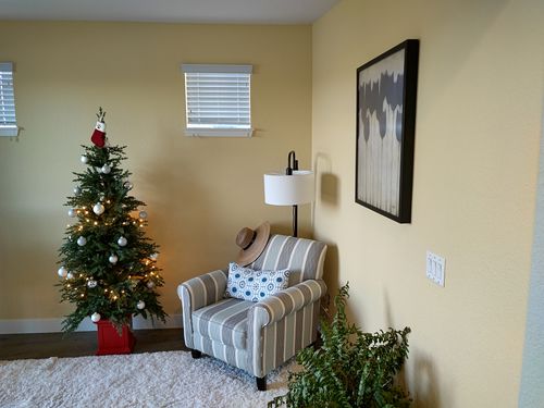 Wild Fox Painting Interior project
