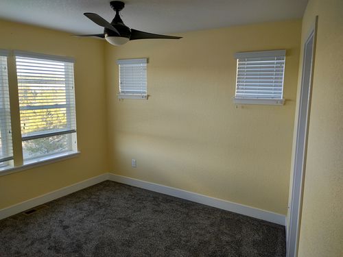 Wild Fox Painting Interior project