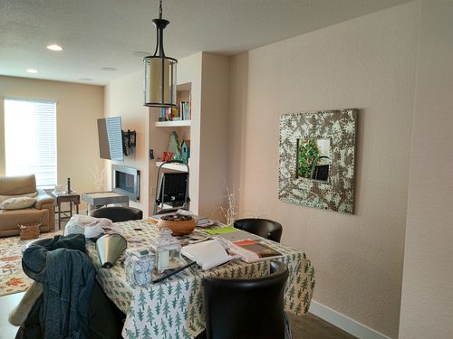 Wild Fox Painting Interior project