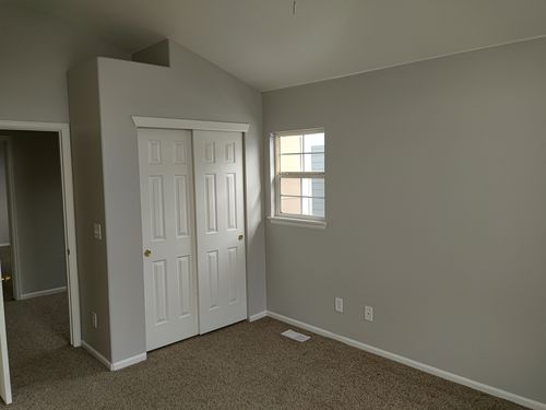 Wild Fox Painting Interior project