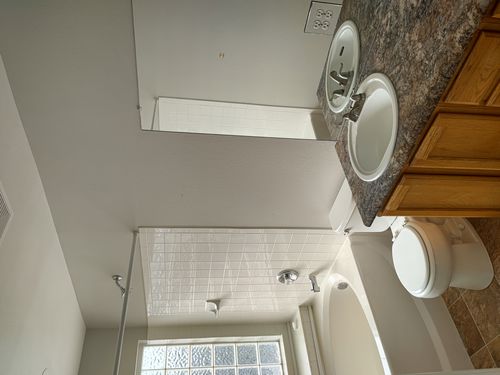 Wild Fox Painting Interior project