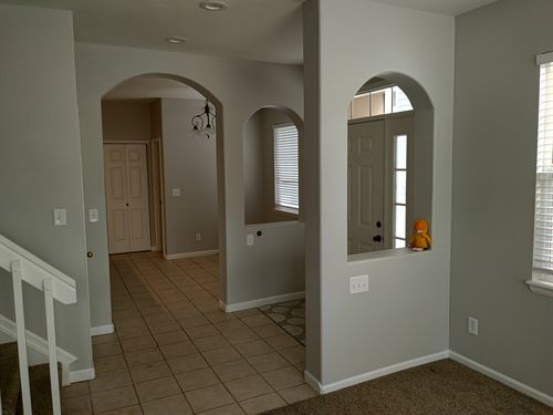 Wild Fox Painting Interior project