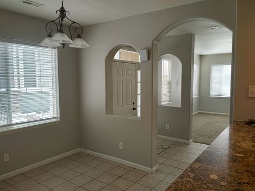 Wild Fox Painting Interior project