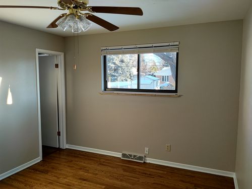 Wild Fox Painting Interior project