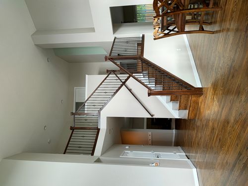 Wild Fox Painting Interior project