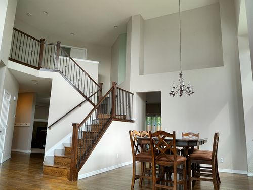 Wild Fox Painting Interior project