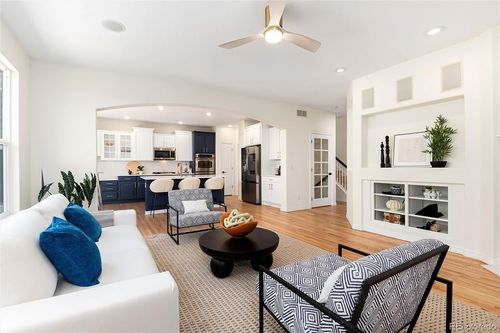 Wild Fox Painting Interior project