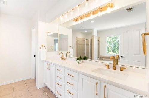 Wild Fox Painting Interior project