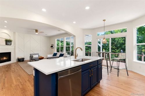 Wild Fox Painting Interior project